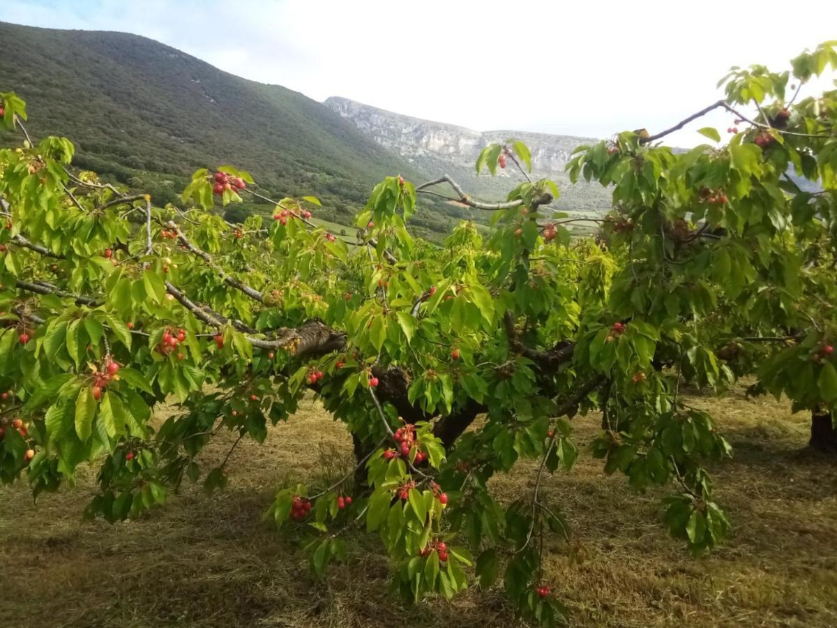 Casa Rural Ibarbegi II Apartment Vidaurreta Екстериор снимка